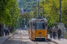 Strassenbahn am Donauufer